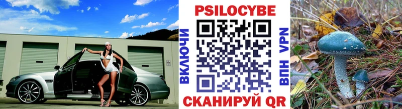 Псилоцибиновые грибы ЛСД  магазин    ссылка на мегу как войти  Сосновка 